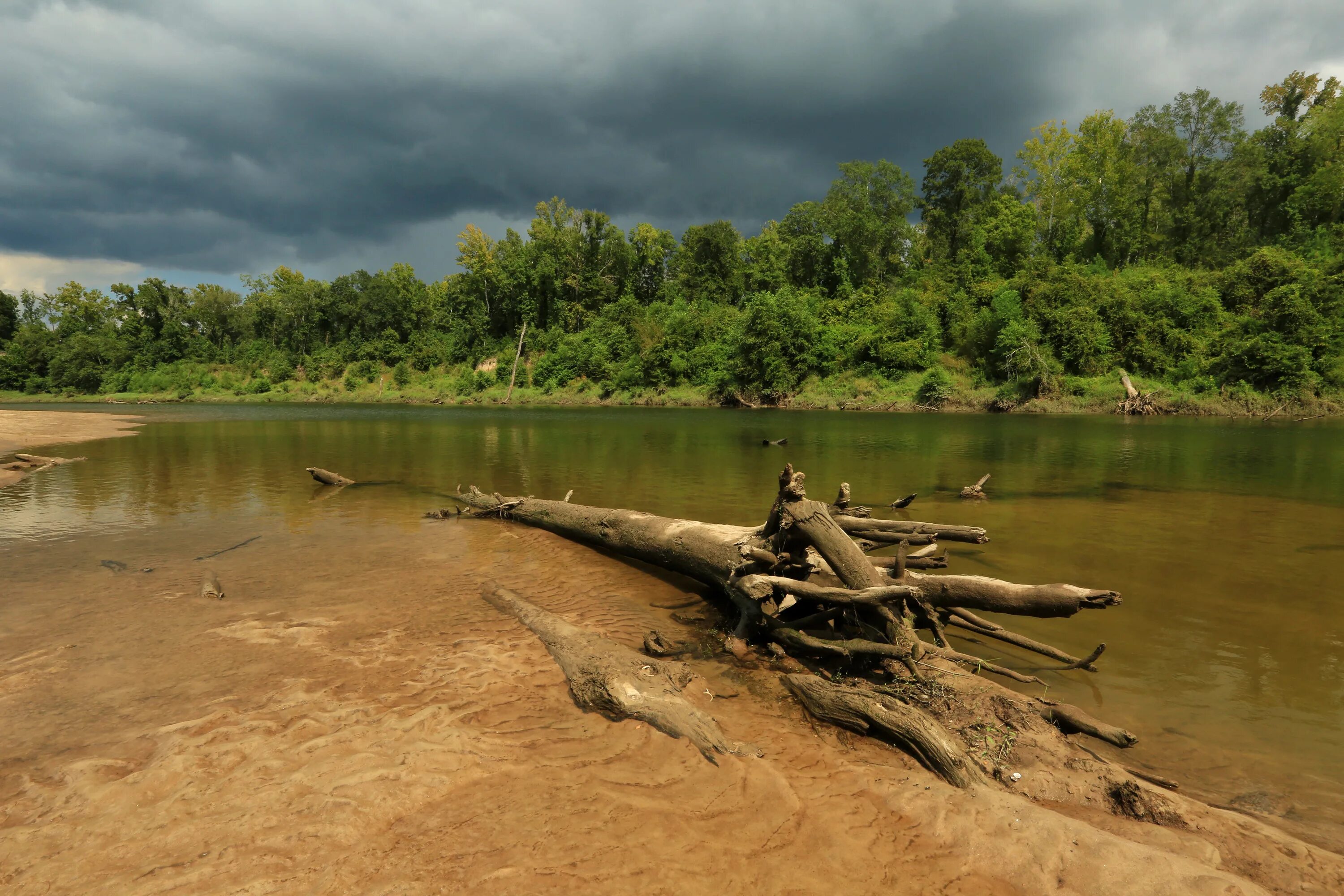 заболоченное озеро. берег болота. беречь болото. трясина на берегу реки. левитан речная заводь прудик.