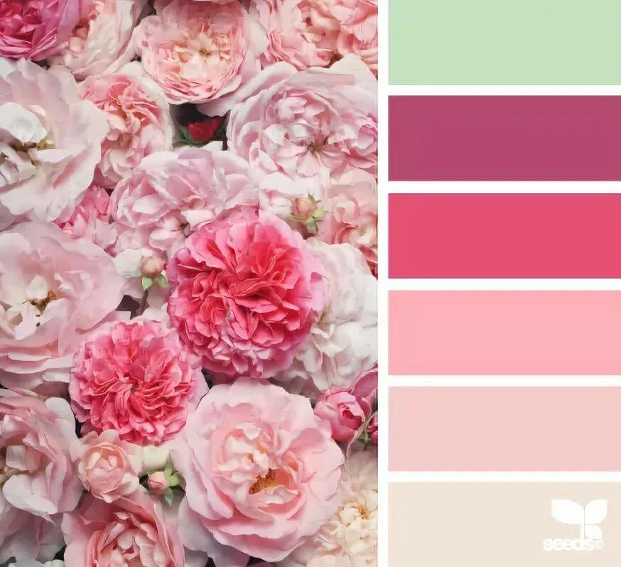 Сочетание цветов бело розовый. Цветовые сочетания. Сочетание цветов с розовым. Сочетание цветов с розовым цветом палитра. Цветовая палитра пионы.