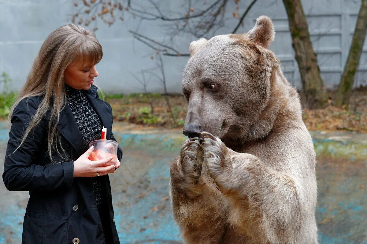 Пантелеенко и медведь.