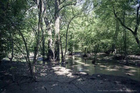 Дагестан самурский