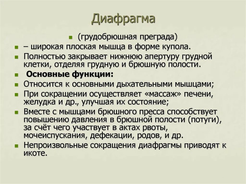 Выполняет функцию диафрагмы. Диафрагма строение и функции. Функции диафрагмы человека. Роль диафрагмы. Диафрагма функции кратко.