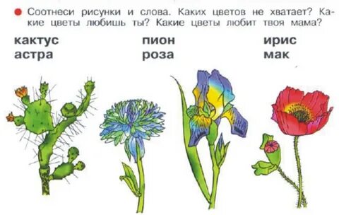 Схема слова ирис 1 класс