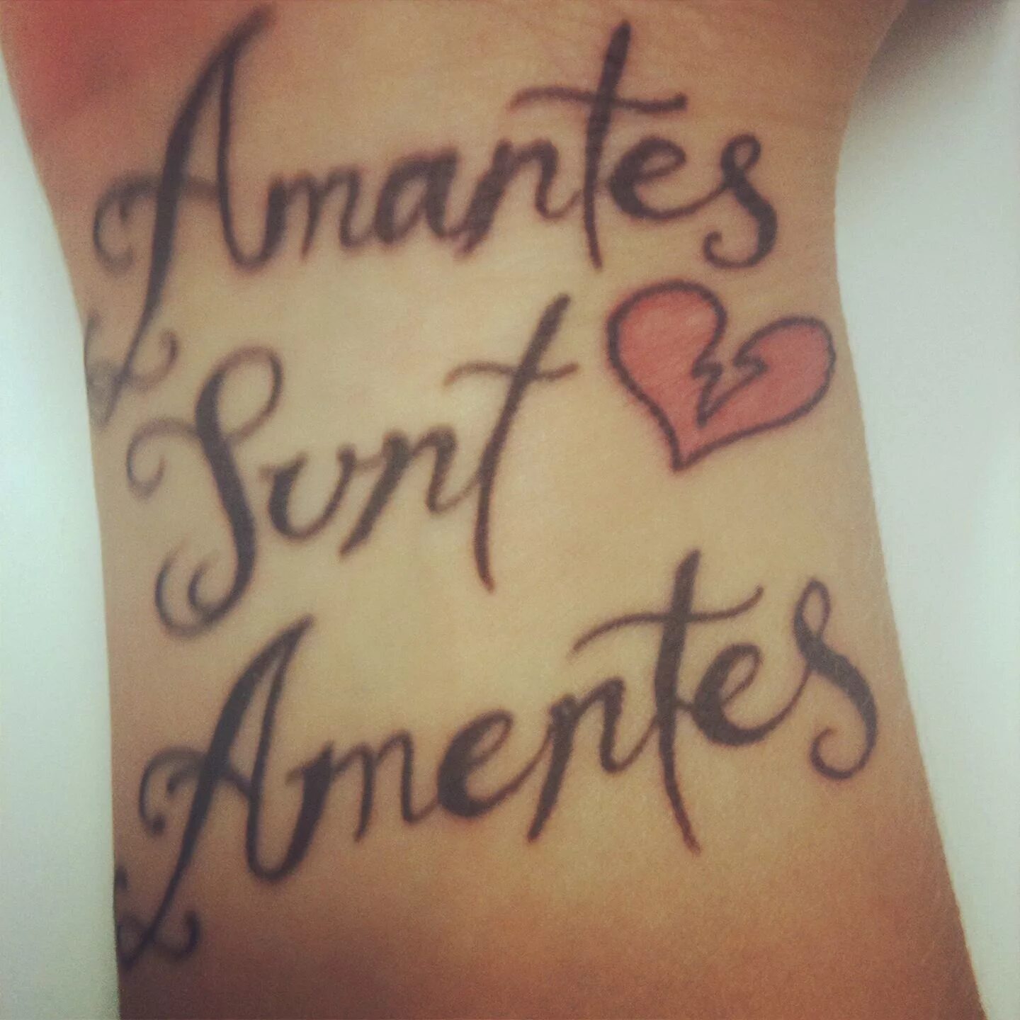 Татуировка amantes sunt AMENTES. Тату с надписью amantes sunt AMENTES. Безумные влюбленные на латыни. Amantes sunt AMENTES красивым шрифтом.
