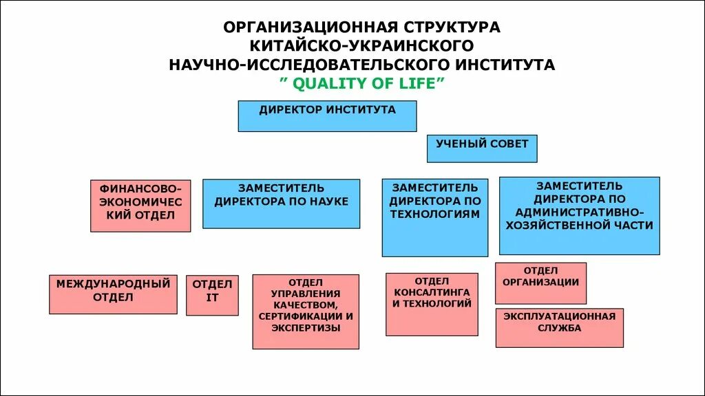 Организацией институтом. Организационная структура научно исследовательского института. Организационная структура НИИ. Структура научного института схема. Организационная структура НИИ Восход.