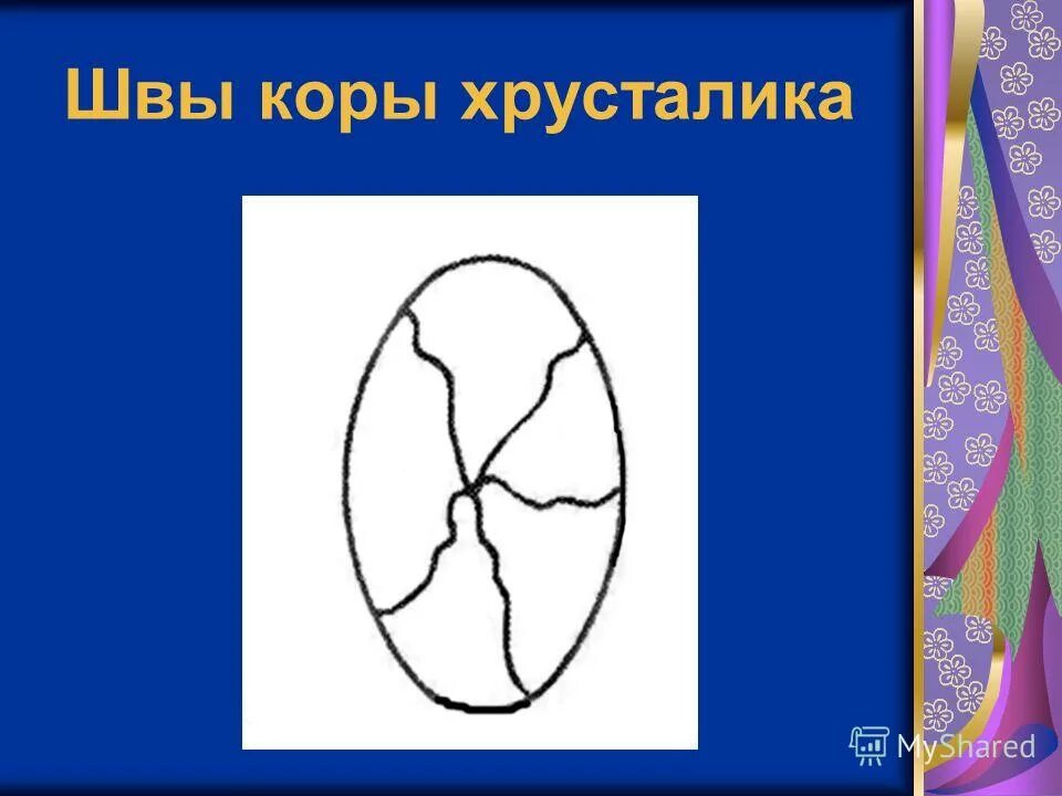Швы хрусталика. Этапы операции факоэмульсификации катаракты. Интраокулярная экстракция катаракты. Лентиконус и лентиглобус. Хрусталиковые волокна гистология.