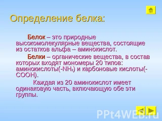 Белок 6 класс биология. Белки определение биология. Белок определение биология. Определение понятия белки. Белок это кратко.