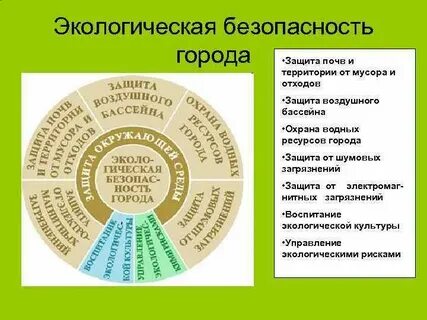 Экологическая безопасность содержание