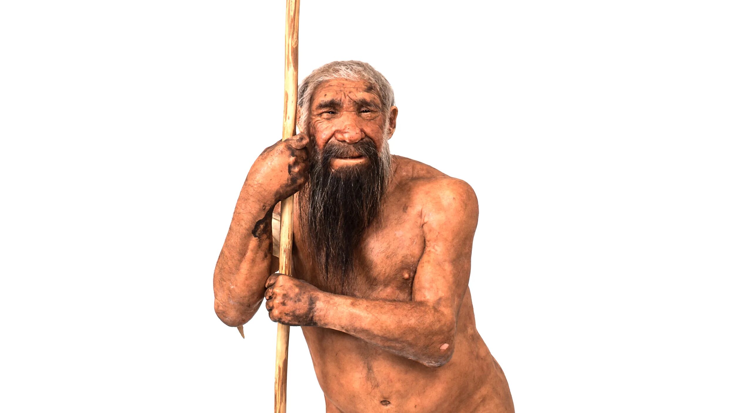 Human h. Homo sapiens sapiens кроманьонец. Неандерталец (homo sapiens Neanderthalensis). Хомо сапиенс Денисовский человек неандерталец.