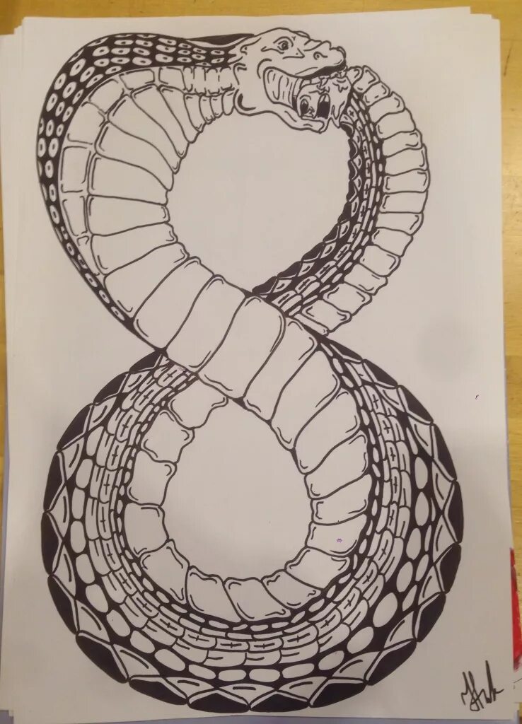 Змея цифра 8. Восьмерка в виде змеи. Змея цифра 8. Змея в виде восьмерки. Змея в виде восьмерки.