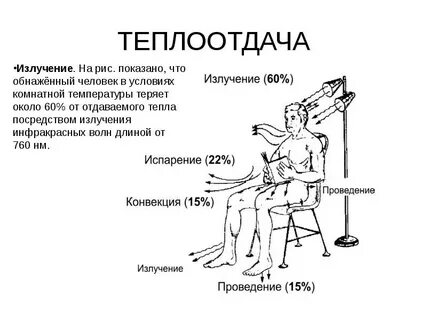 Теплоотдача это