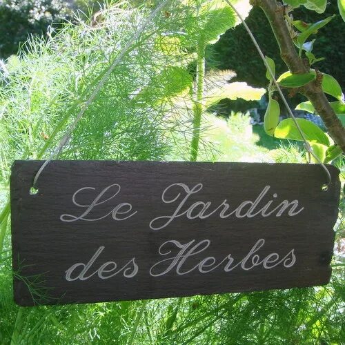 Garden вывески. Таблички садовые для деревьев. Деревянная табличка для сада. Вывеска садовая. Табличка садовая.
