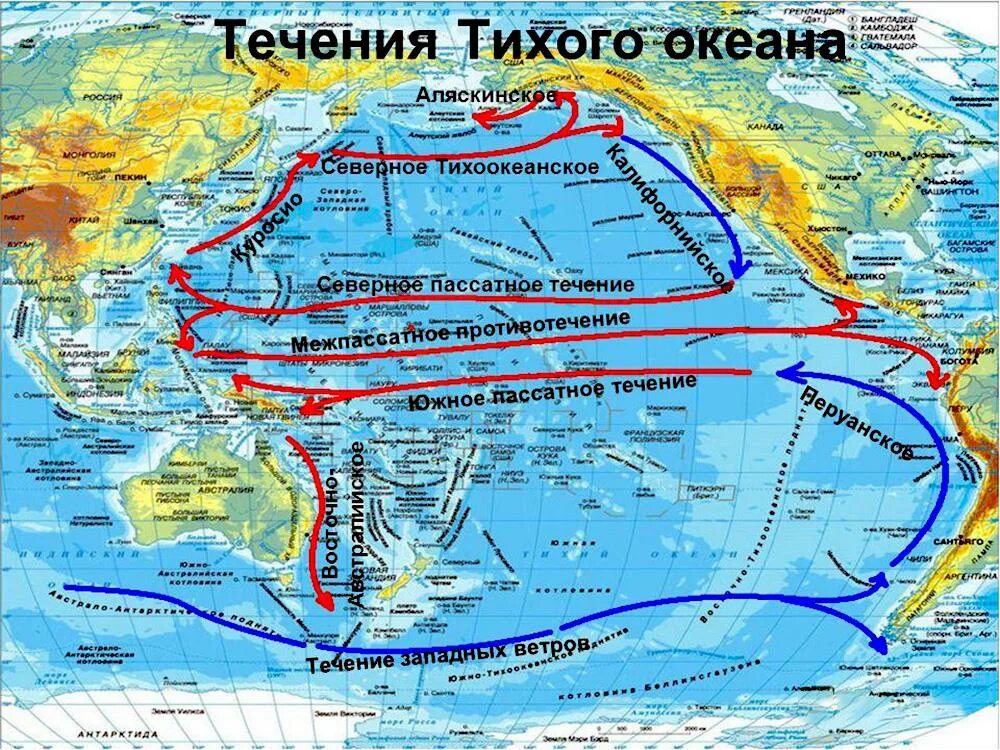 Где находится курило. Северное пассатное течение на карте. Северное пассатное течение на карте мирового океана.