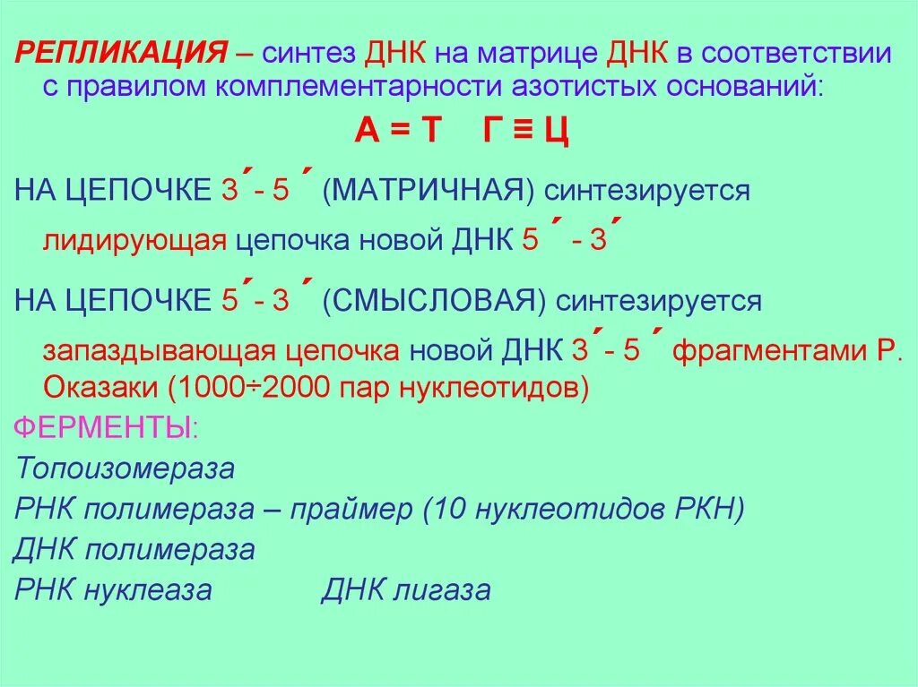 Смысловая и транскрибируемая цепь днк решение. Матричная цепь ДНК. Репликация ДНК это Синтез. Матричная ДНК И смысловая. Молекулярные основы наследственности.