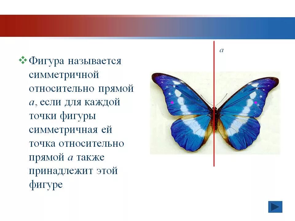 Симметричная фигура относительно прямой 3 класс. Симметричные фигуры относительно прямой. фигура симметричная прямой. симметричные фигуры относительно прямой и относительно точки. фигура называется симметричной относительно прямой а.