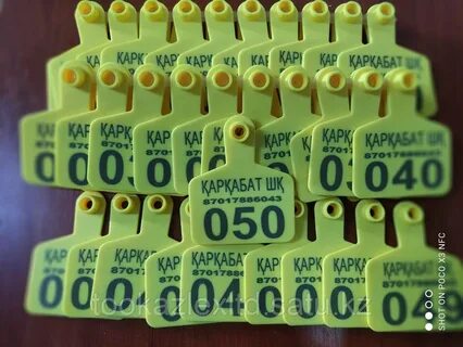 Қайықтардағы секс HD