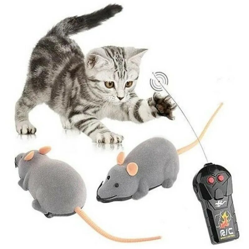 Мышь control. Игрушки для котов. Игрушка «котенок». Мышка на пульте управления для кошки. Механические игрушки для кошек.