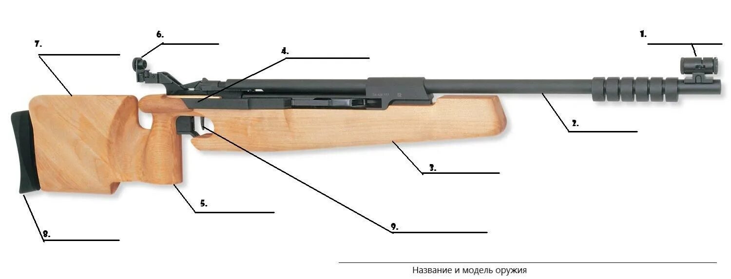 Калибр спортивных винтовок. Винтовка пневматическая ВП 60 мм. Винтовка МР-571к. Мр532 винтовка характеристики. Пневматическая винтовка ИЖ дерево.