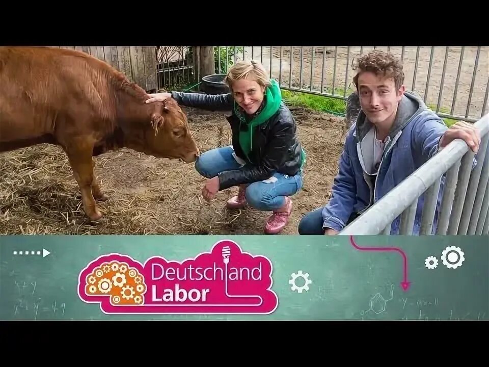 Deutschlandlabor. Deutschlandlabor dw 20. Deutschlandlabor. Deutschland labor. Deutschland labor.