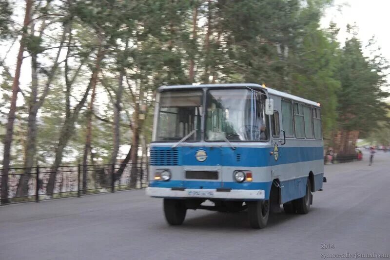 Автобус таджикистан 3205. Автобус чаз 3205 таджикистан. Автобус таджикистан 3205. Маз автобус малый. Автобус таджикистан-1.