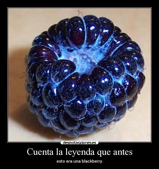 светящиеся ягоды. майнкрафт 1. светящаяся вишня. неон. неоновый жемчуг.