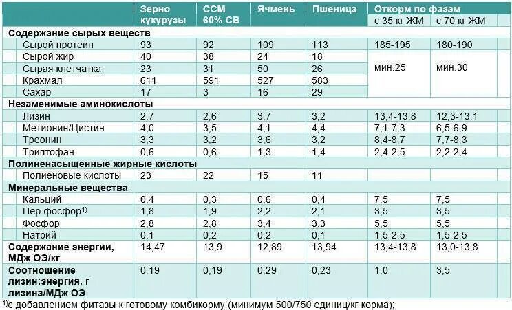 Содержание протеина в кукурузе зерне. Содержание белка в зерне кукурузы. Содержание белка в кукурузе кормовой. Содержание сырого протеина в кукурузе.