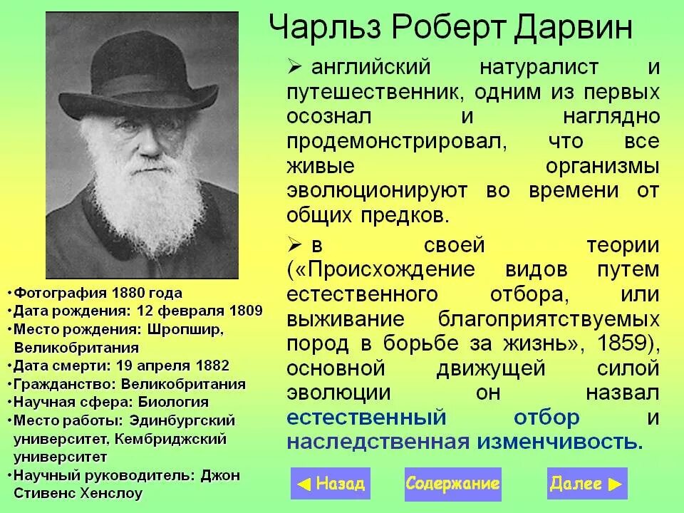 Ч Дарвин открытия. Чарлз Дарвин открытие в биологии. Дарвин вклад в биологию.