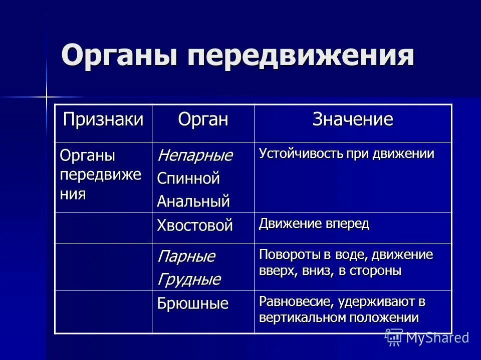 Перемещение признака. Органы передвижения рыб значение. Характеристика перемещения. Особенности перемещения товаров и транспортных средств. Перемещение признака.