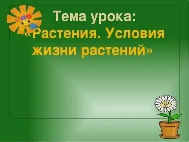 Тема жизнь растений. Условия жизни растений. Условия жизни растений 1 класс. Тема урока растения. Условия для жизни растений на земле.