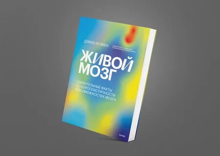 Жив мозга