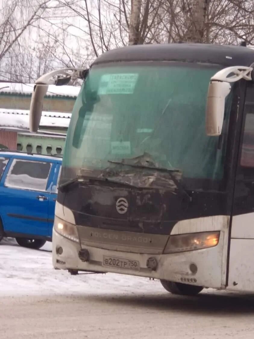 569 автобус саратовская. 569 автобус саратовская. 65. 569 автобус саратовская. Автобус 569 москва.