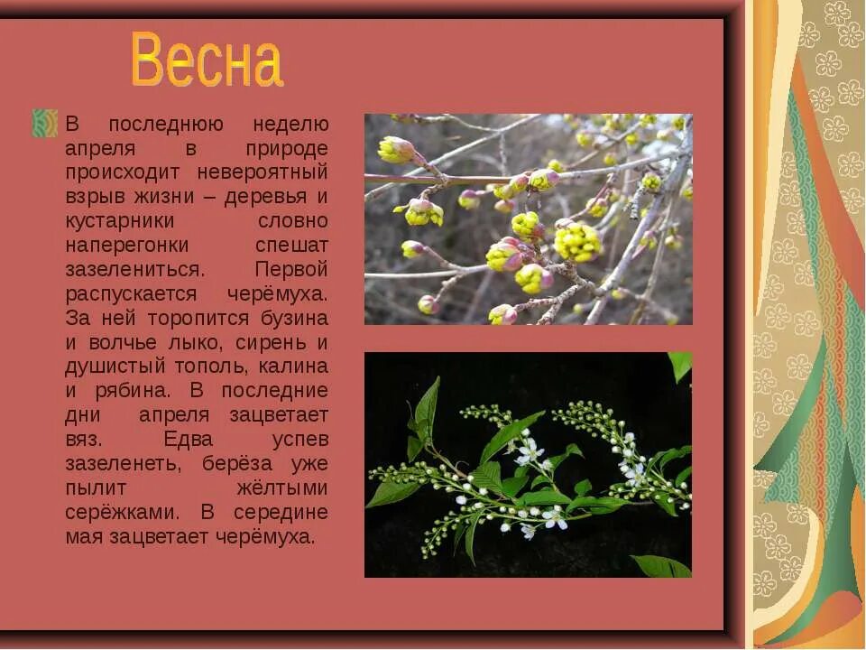 Последние недели апреля. Изменения природы весной рассказ. Сочинение изменение природы весной. Интересные изменения природы весной рассказ. Рассказ о весенних изменениях в природе.