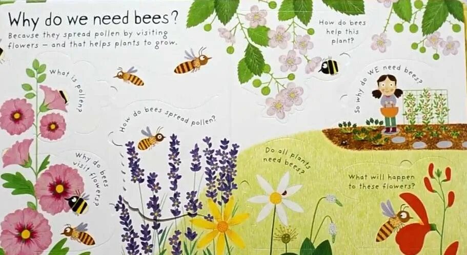 Why do bees to this. How bees make honey. daynes katie &quot;about animals&quot;. bee why why why. daynes katie &quot;about time&quot;.