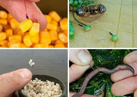 На какую наживку ловить