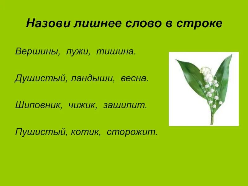 Как пишется слово пахуч. Назови лишнее слово. Ландыши слова. Душистые Ландыши.