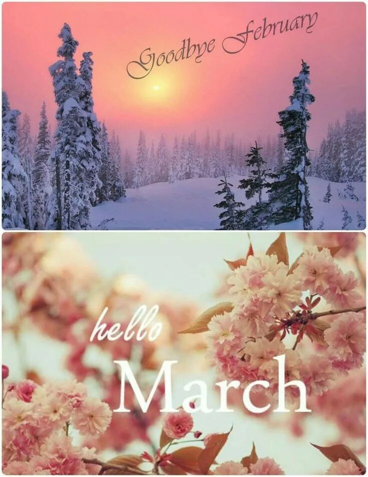Картинки февраль стильные. Привет март. Привет февраль. Hello февраль. Хелло март.