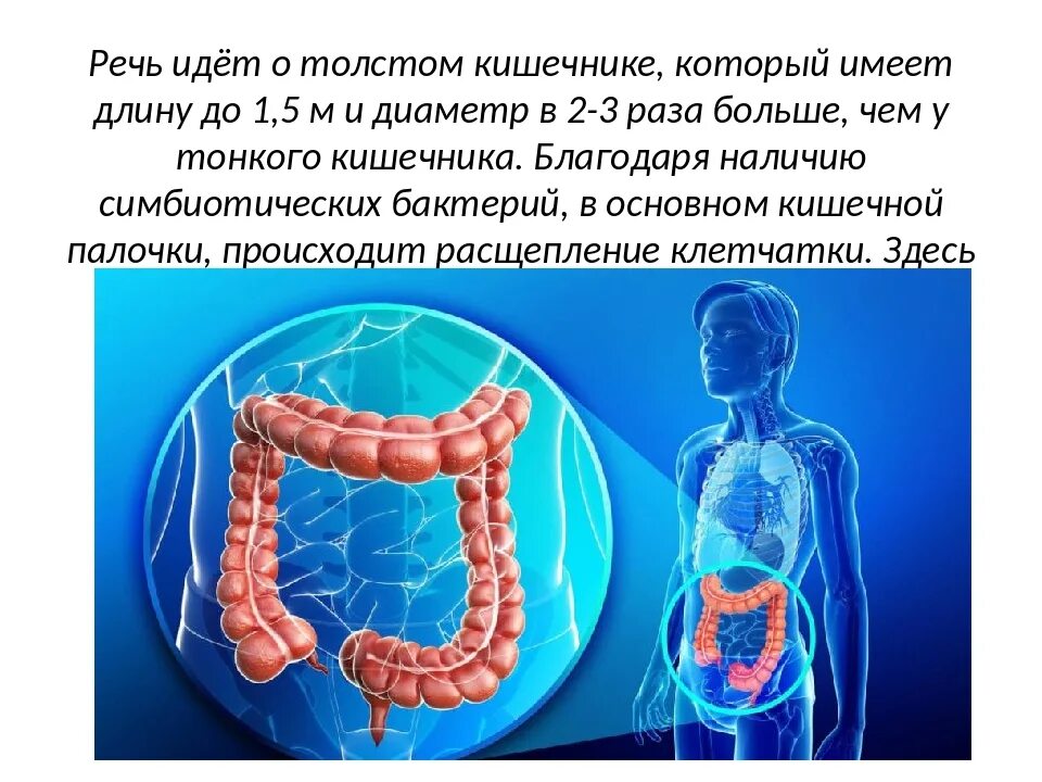 Почему много газов выходит. Пузырьки газа в кишечнике. Кишечные ГАЗЫ. Образование газа в кишечнике.