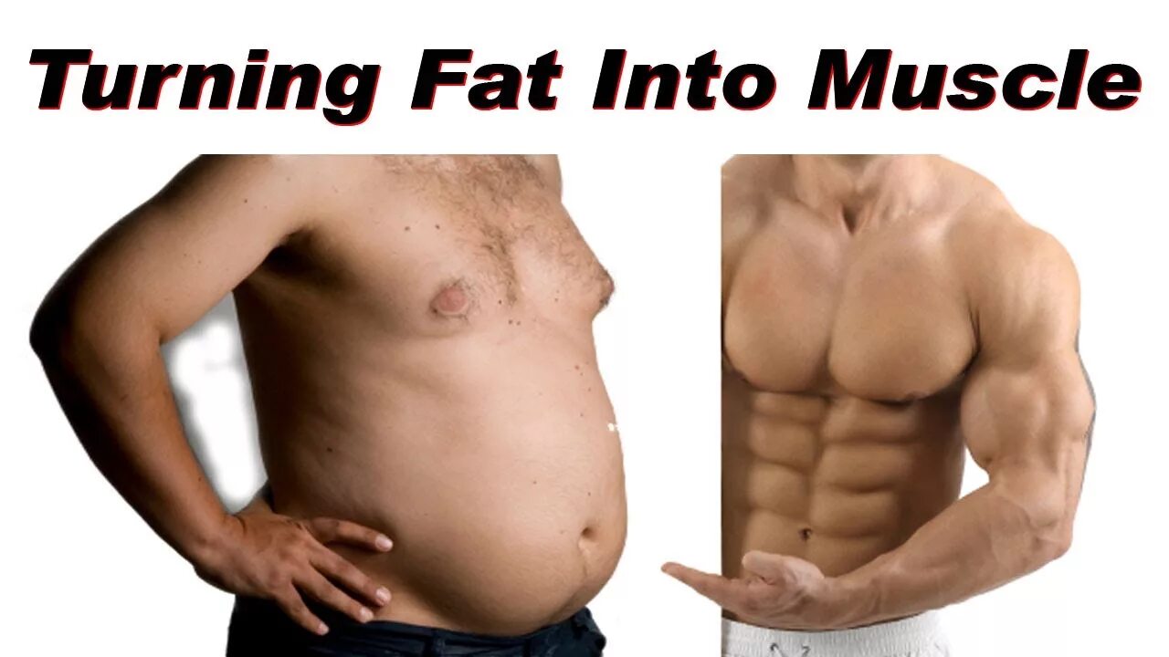 ABS muscle belly. Fat into muscle. ABS fat loss. Turning fat.