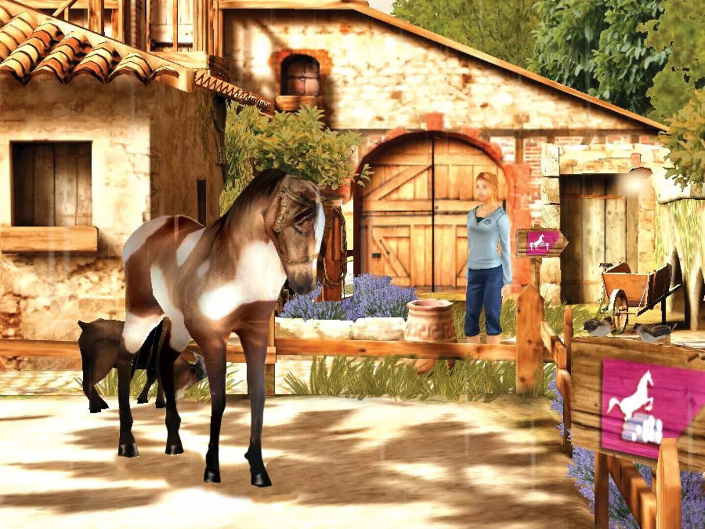 Игры horse лошади. Petz Horsez 2. Petz Horsez 2 / Horsez: секреты ранчо. Petz: Horsez 1. Игра Petz Horsez.