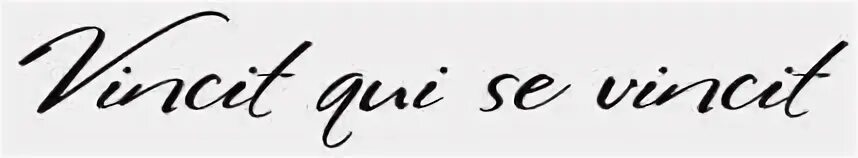 татуировка vincit qui se vincit. Vincit qui se vincit тату эскиз. Vincit qui se vincit  шрифт для татуировки. Vincit qui. Amor vincit omnia тату.
