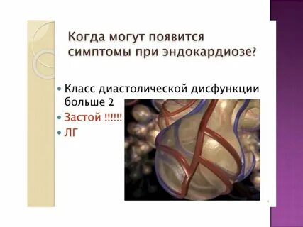 Эндокардиоз у собак