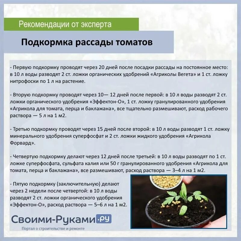 Подкормка томатов после высадки в грунт. Удобрение для высадки помидоров и огурцов в теплице. Схема удобрения рассады томатов. Схема удобрения огурцов в открытом грунте. Схема подкормок при выращивании рассады томатов.