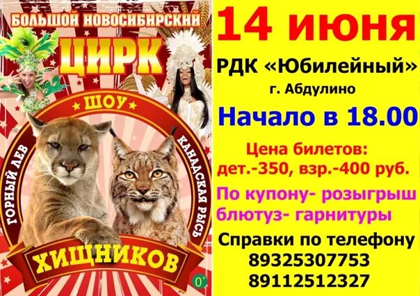 Новосибирский цирк афиша. Новосибирский цирк. Новосибирский цирк сайт афиша. Новогодний цирк афиша. Цирк новосибирск афиша.