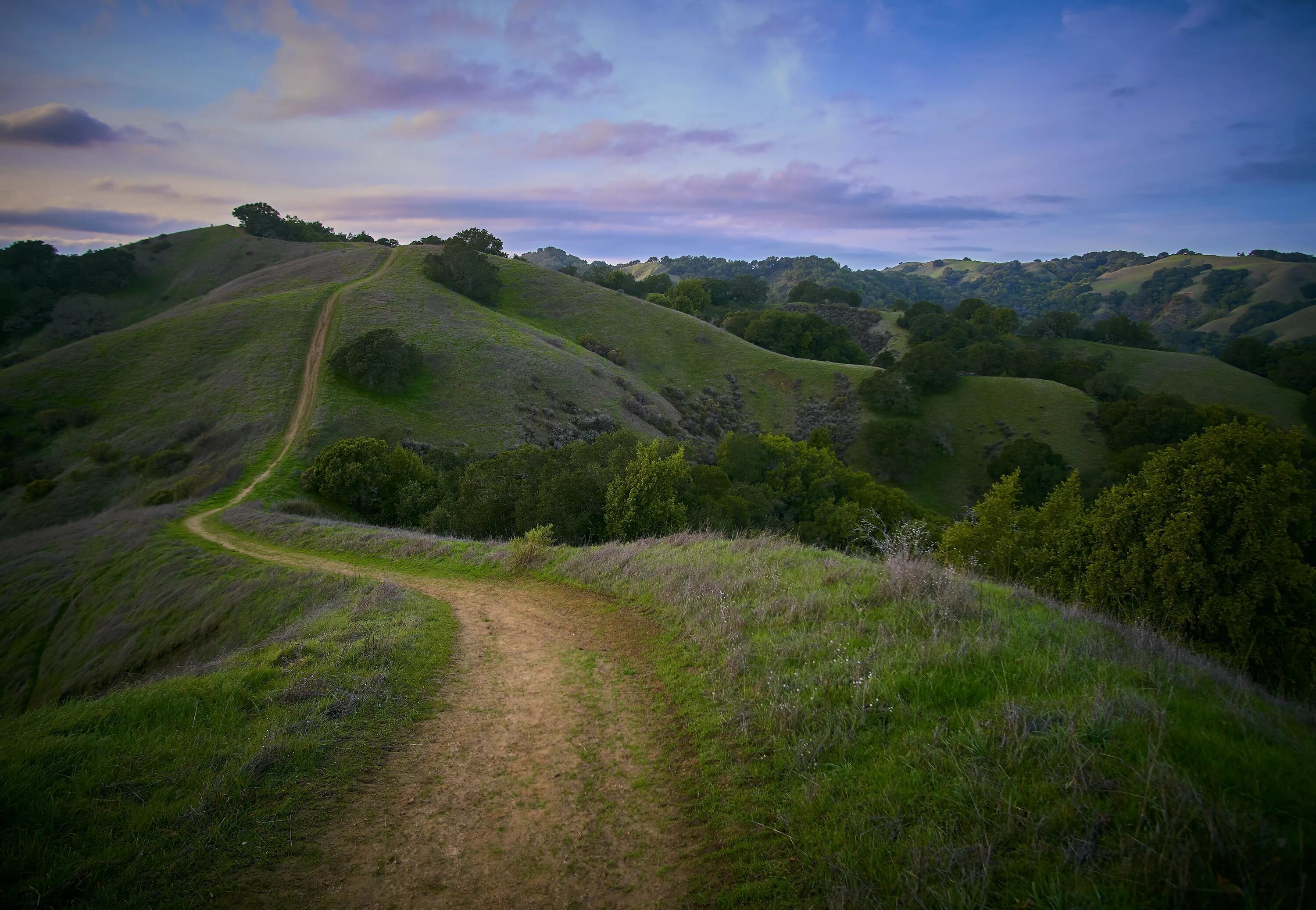 Rolling hills. Τaylеr Hills. Парк на Холме. Холмы референс. Тоуцвемогала-Хилл.