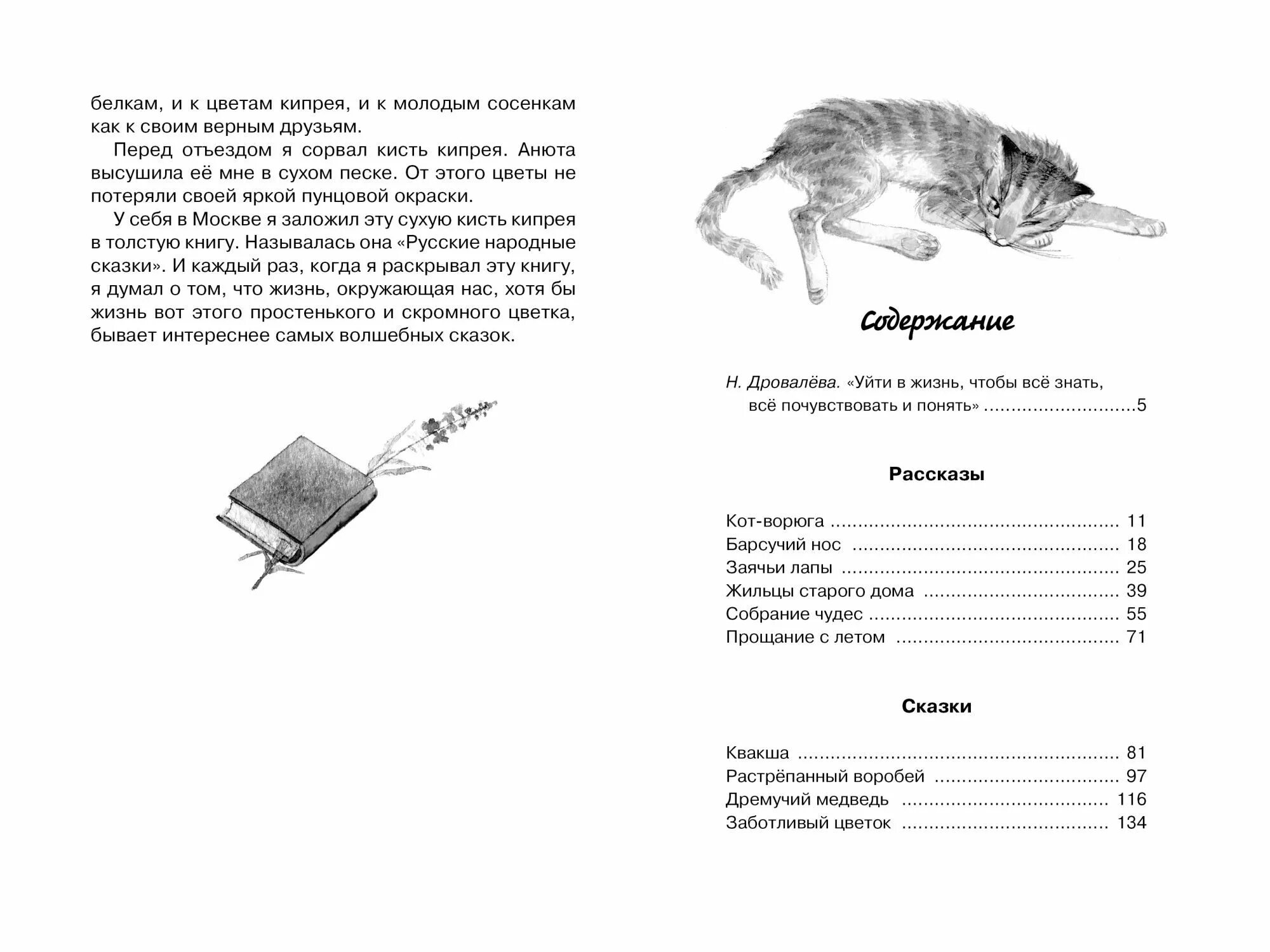 Кот ворюга паустовский части. Рассказ Паустовского кот ворюга. Книга кот ворюга Паустовский. Кот ворюга рассказ Константина Паустовского.