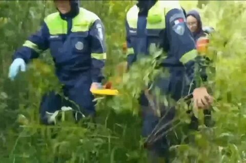В удмуртии нашли