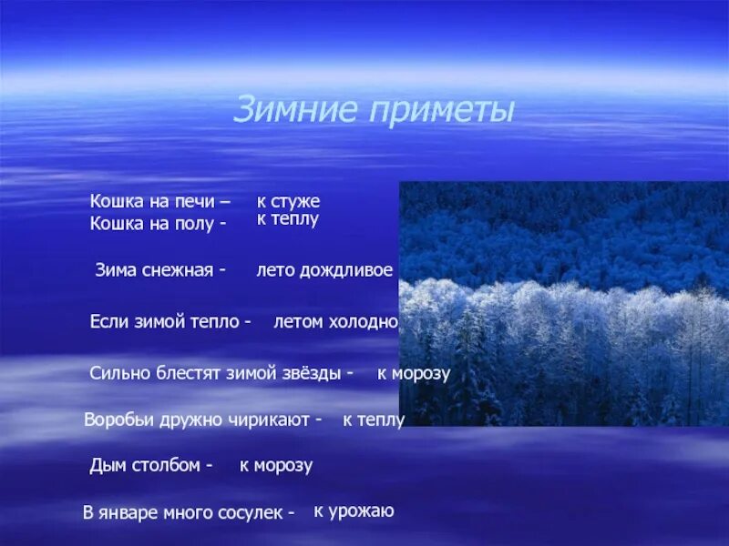 Признаки зимы для детей. Призентац я на нму щима. Зимние месяцы декабрь. Признаки зимы. Народные приметы о зиме.