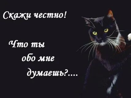 Что она обо