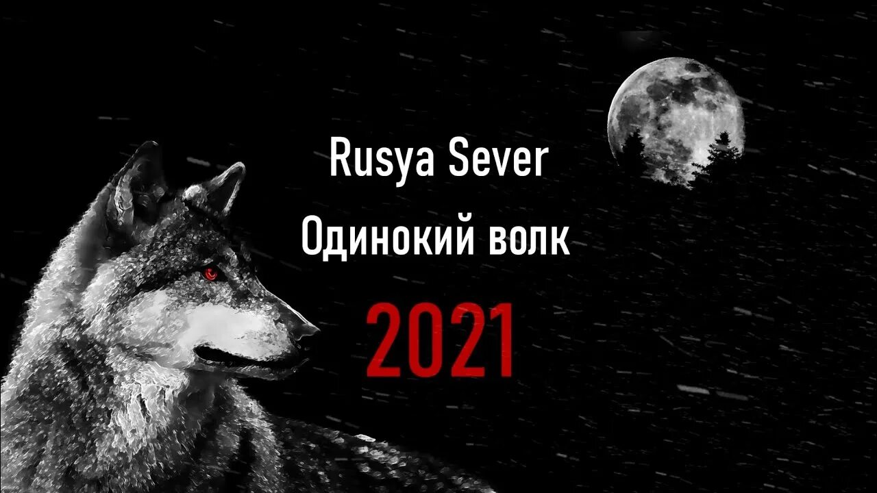 Игры одинокий волк. Кучин волк одиночка. Кучин одинокий волк. Подпишись на волка. Big Russian Boss одинокий волк.