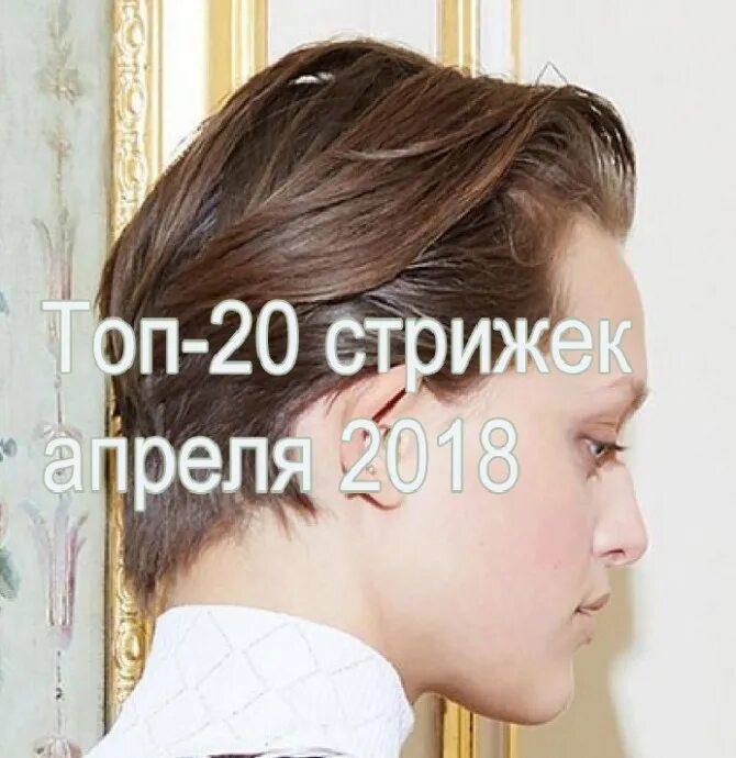 Стрижки в апреле 2024 г