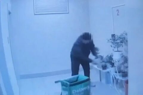 Курьер украл